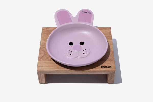 BUNNY DISH - VIOLET