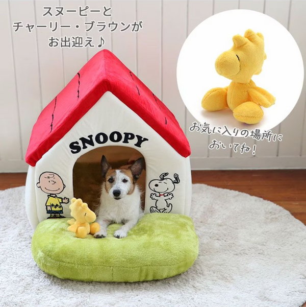 Snoopy House Garden