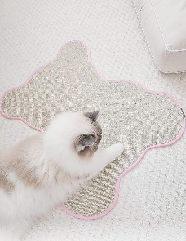 Teddy Bear Scratcher