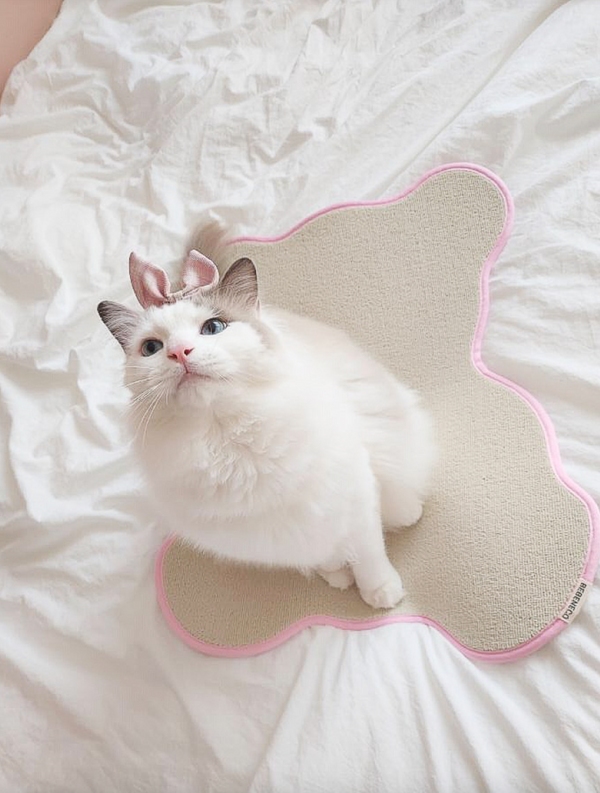 Teddy Bear Scratcher