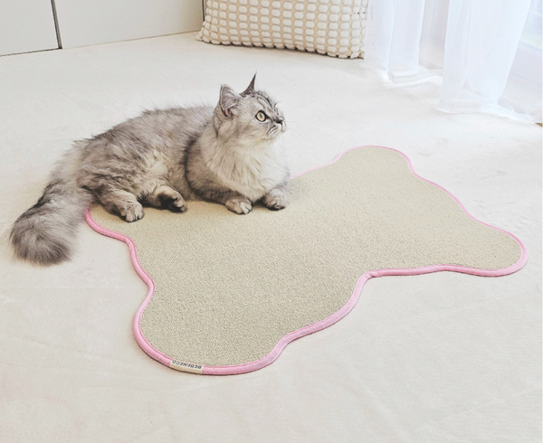 Teddy Bear Scratcher