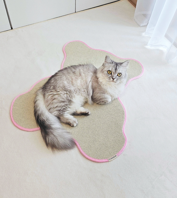 Teddy Bear Scratcher