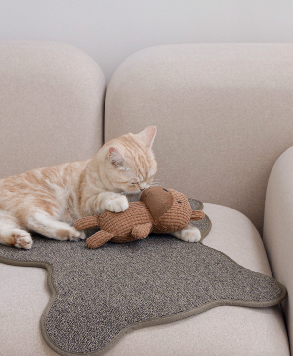 Teddy Bear Scratcher