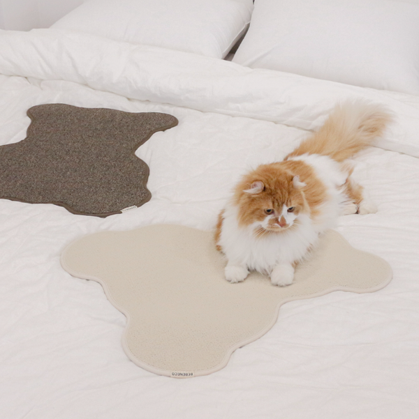 Teddy Bear Scratcher