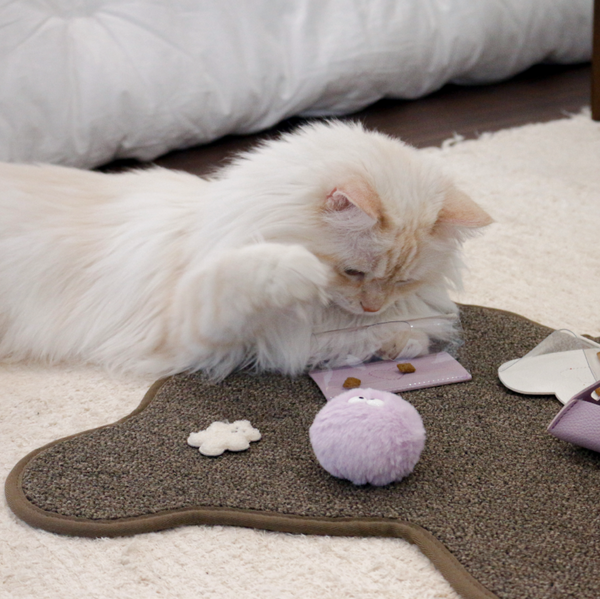 Teddy Bear Scratcher