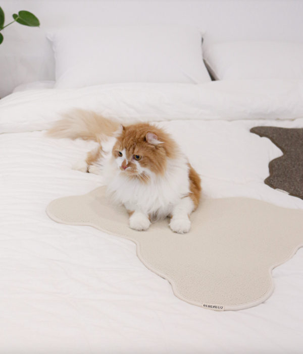 Teddy Bear Scratcher