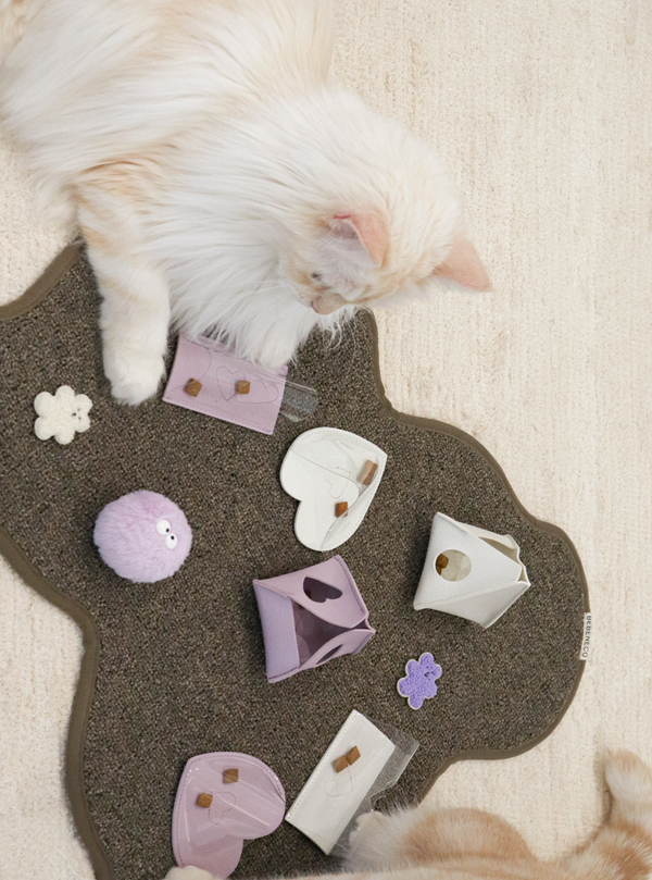 Teddy Bear Scratcher