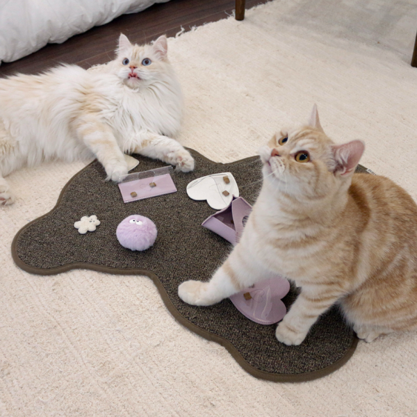 Teddy Bear Scratcher