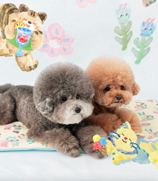 Pokori Friends Cool Mat