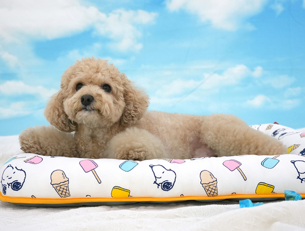 Peanuts Popsicle Cool Bed