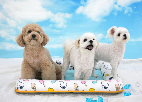 Peanuts Popsicle Cool Bed