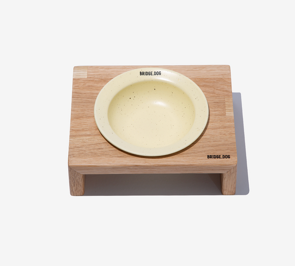 Mini Dish - Cookie and Yellow