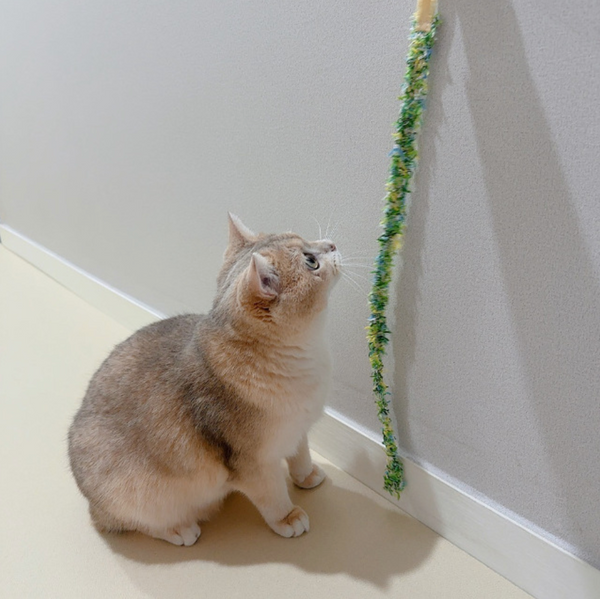 Cat Rod Refill Toy - Bugs Set