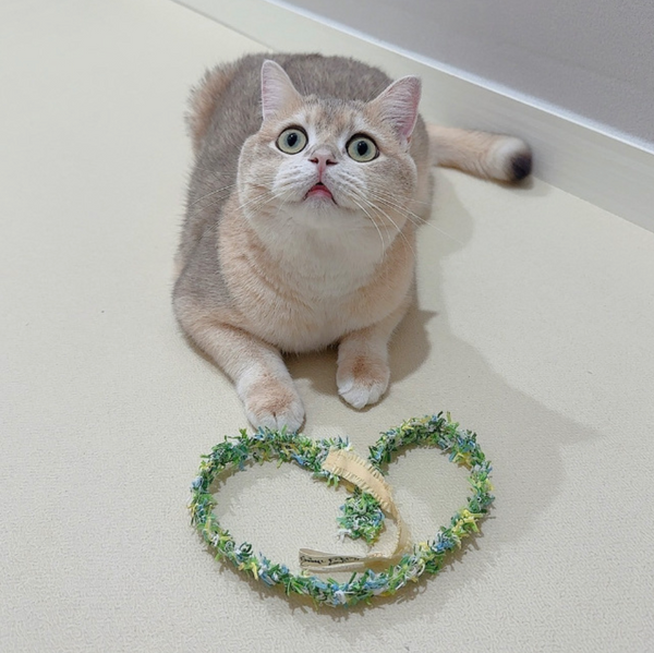 Cat Rod Refill Toy - Bugs Set