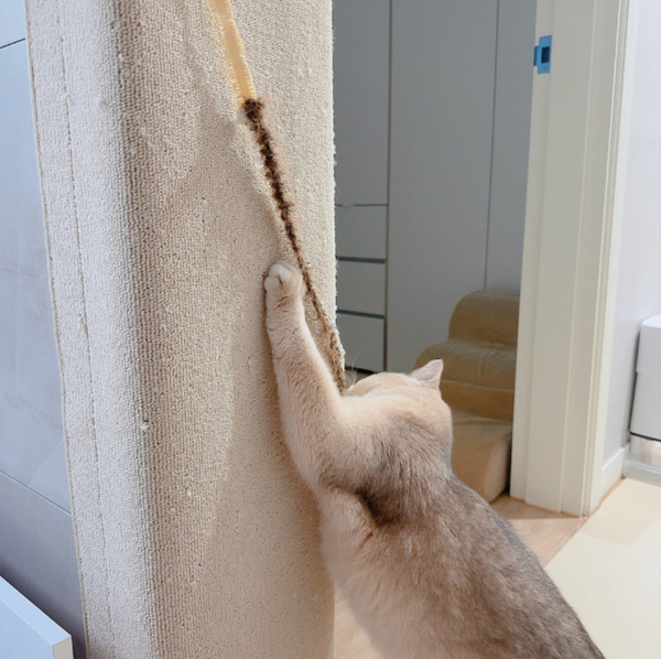 Cat Rod Refill Toy - Bugs Set