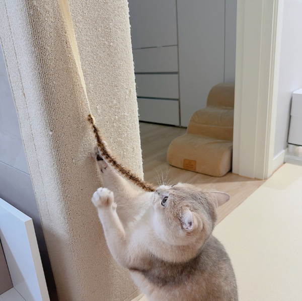 Cat Rod Refill Toy - Bugs Set