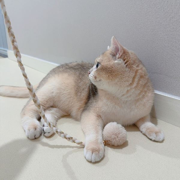 Cat Rod Refill Toy - Catch or Not Feather Set