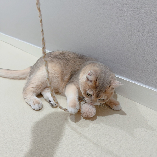 Cat Rod Refill Toy - Catch or Not Feather Set