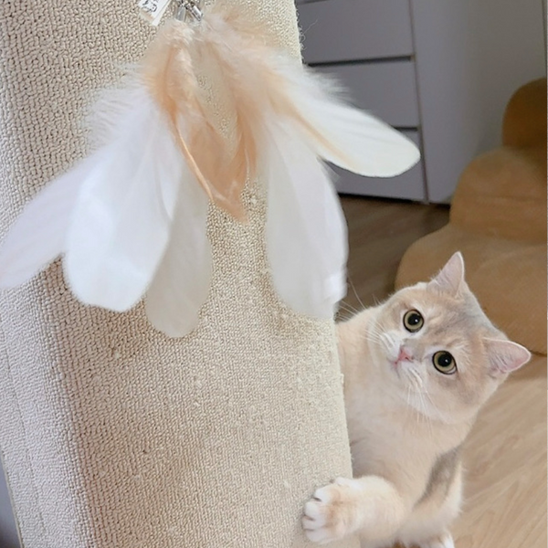Cat Rod Refill Toy - Catch or Not Feather Set