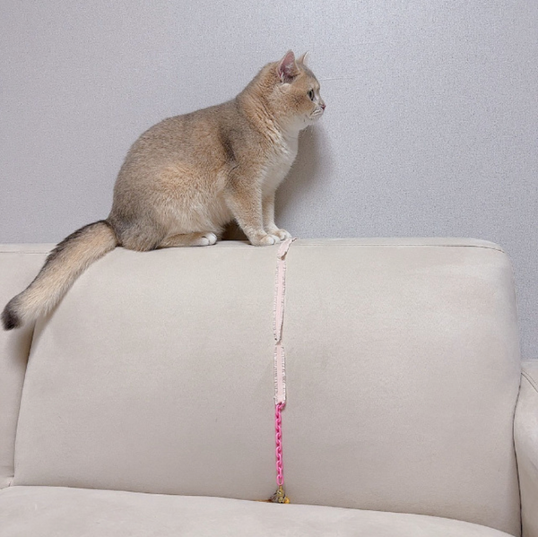 Cat Rod Refill Toy - Nyangpungel Ribbon Set