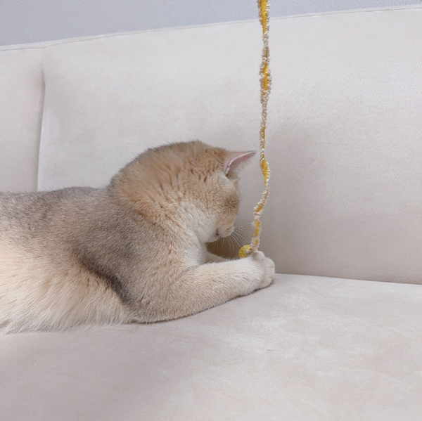 Cat Rod Refill Toy - Nyangpungel Ribbon Set
