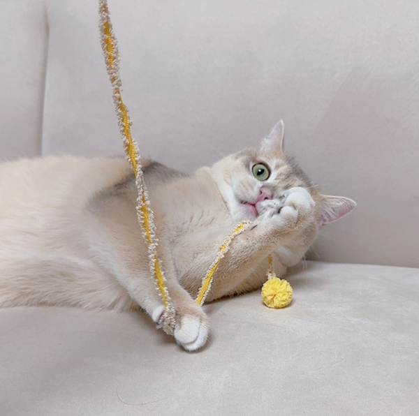 Cat Rod Refill Toy - Nyangpungel Ribbon Set