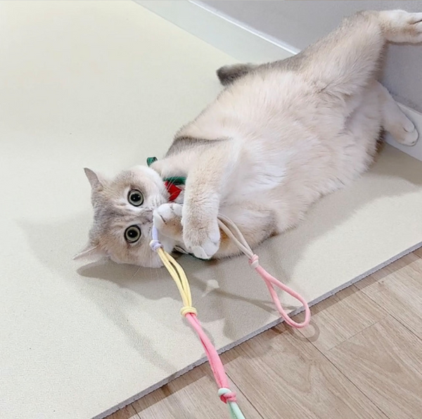 Cat Rod Refill Toy - Troll Ribbon Set