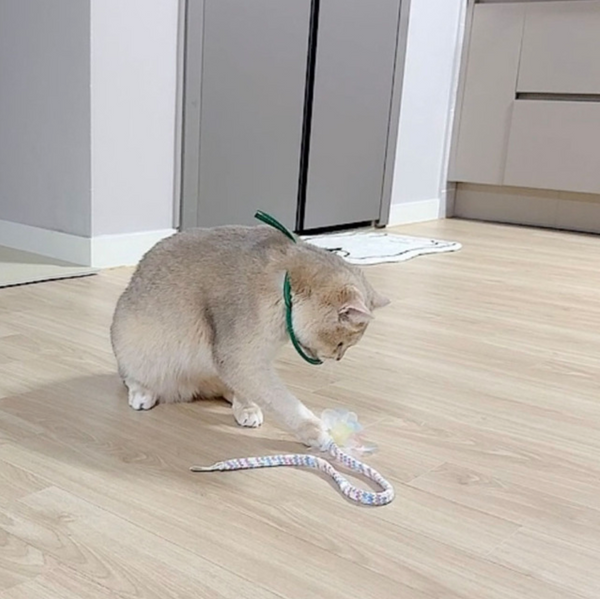 Cat Rod Refill Toy - Troll Ribbon Set