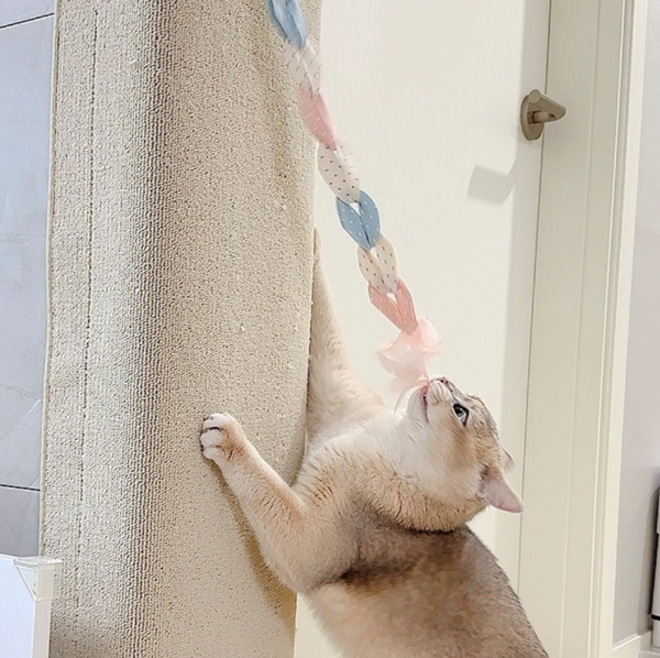 Cat Rod Refill Toy - Flamingo String