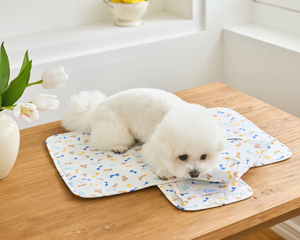 Ice Bear Cool Mat