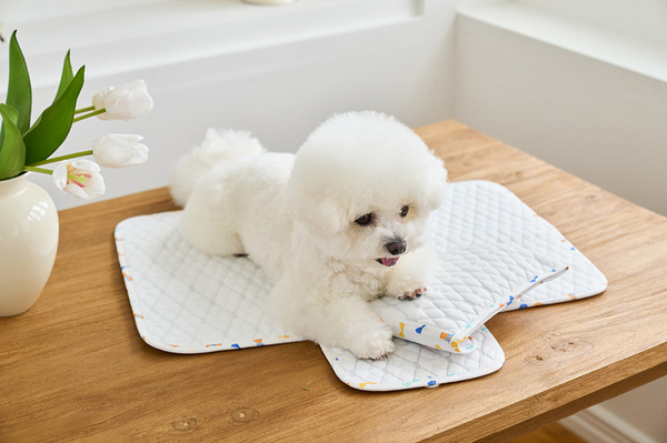Ice Bear Cool Mat