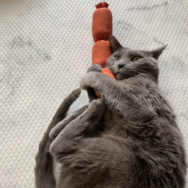 Sausage Catnip Matatabi Cushion Toy