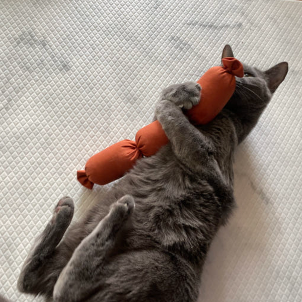 Sausage Catnip Matatabi Cushion Toy