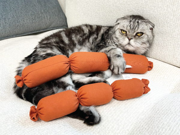 Sausage Catnip Matatabi Cushion Toy