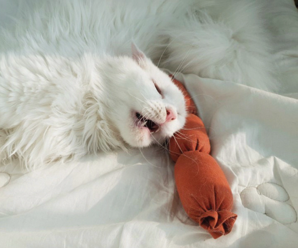 Sausage Catnip Matatabi Cushion Toy