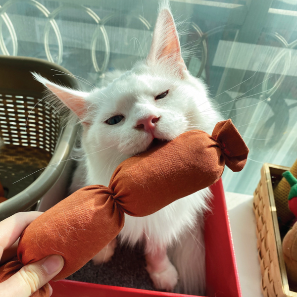 Sausage Catnip Matatabi Cushion Toy