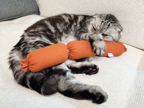 Sausage Catnip Matatabi Cushion Toy