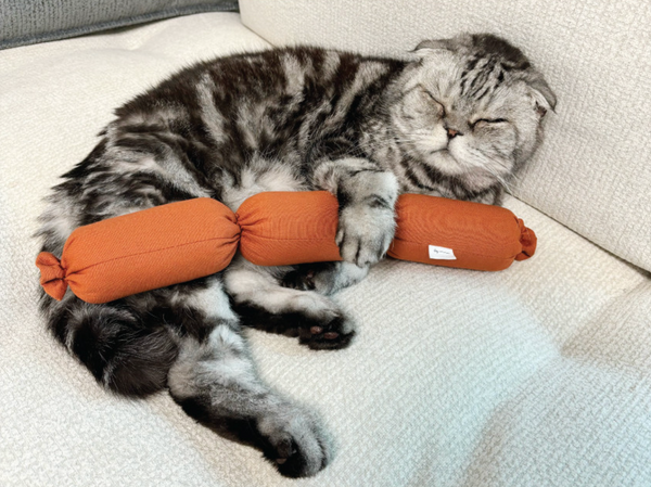 Sausage Catnip Matatabi Cushion Toy