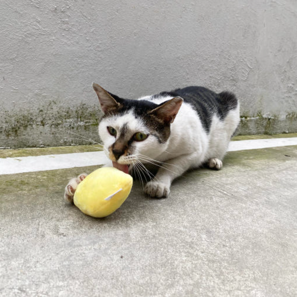 Lemon Catnip Matatabi Toy