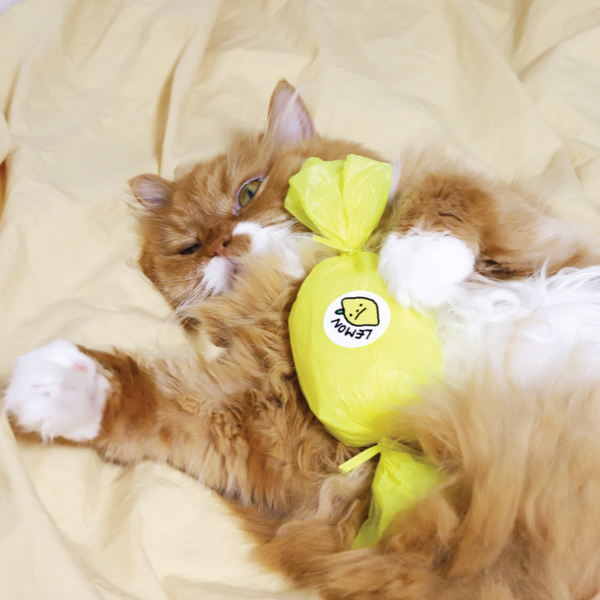 Lemon Catnip Matatabi Toy