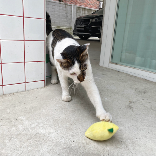 Lemon Catnip Matatabi Toy