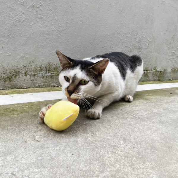 Lemon Catnip Matatabi Toy