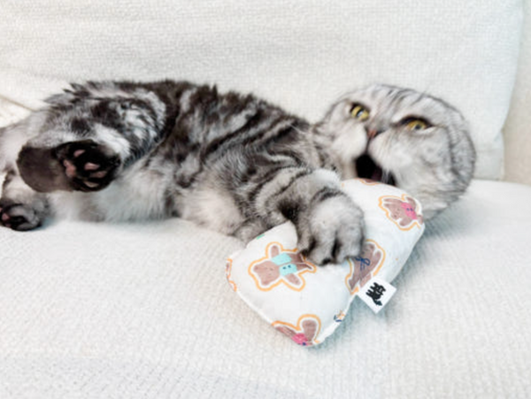 Slipper Catnip Matatabi Cushion Toy