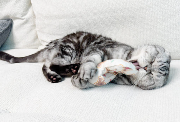 Slipper Catnip Matatabi Cushion Toy