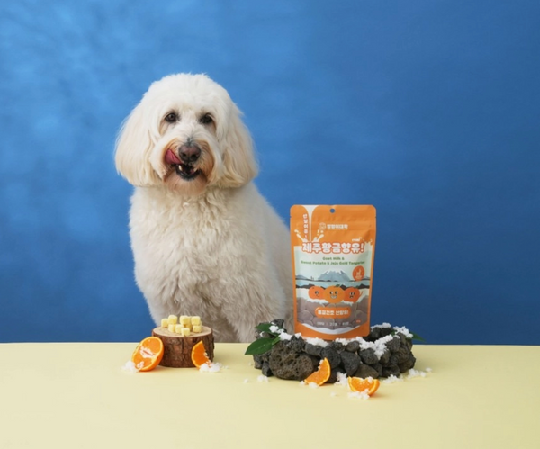 Freeze Dried Goat Milk & Jeju Gold Tangerine Treats