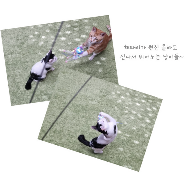 Iridescent Jellyfish Cat Teaser Refill Toy