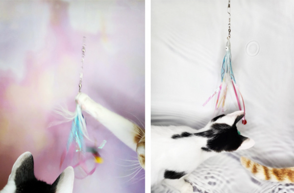 "Signal Light" Squid Cat Teaser Refill Toy