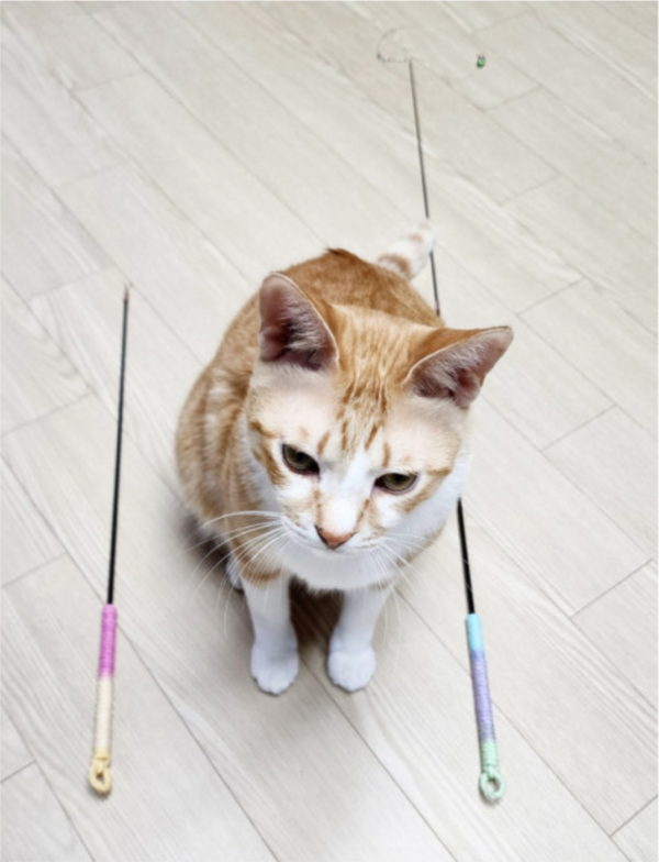 Two-Section Retractable Cat Teaser Wand