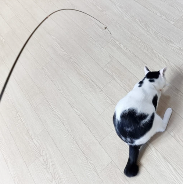 Three-Section Retractable Cat Teaser Wand