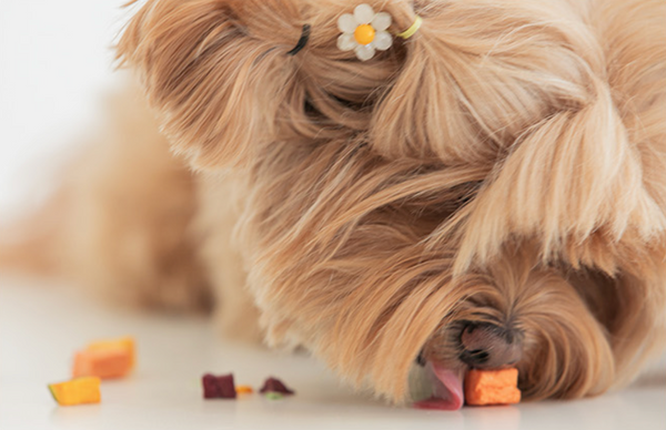 Little Farm Veggie Mix